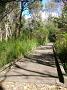 crowdy-national-park 033